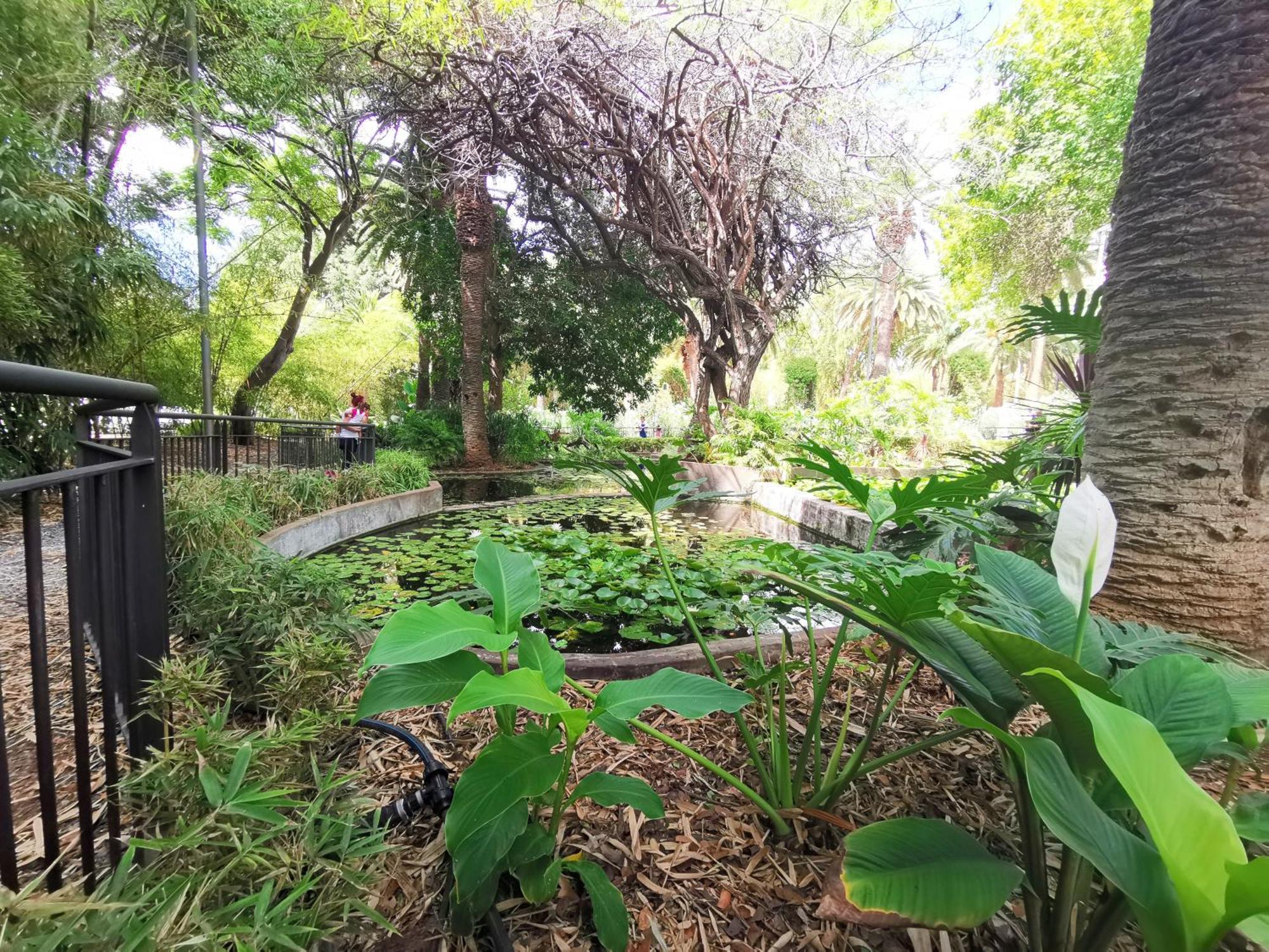 Home2Book Cozy Apt La Marina, Santa Cruz Center מראה חיצוני תמונה